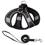 laisse et harnais pour petit chien - Vignette | laisse pour chien. fr