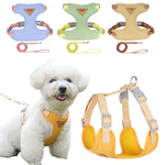 laisse et harnais petit chien nylon - Vignette | laisse pour chien. fr