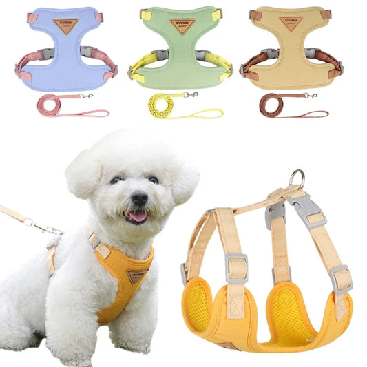 laisse et harnais pour petit chien nylon