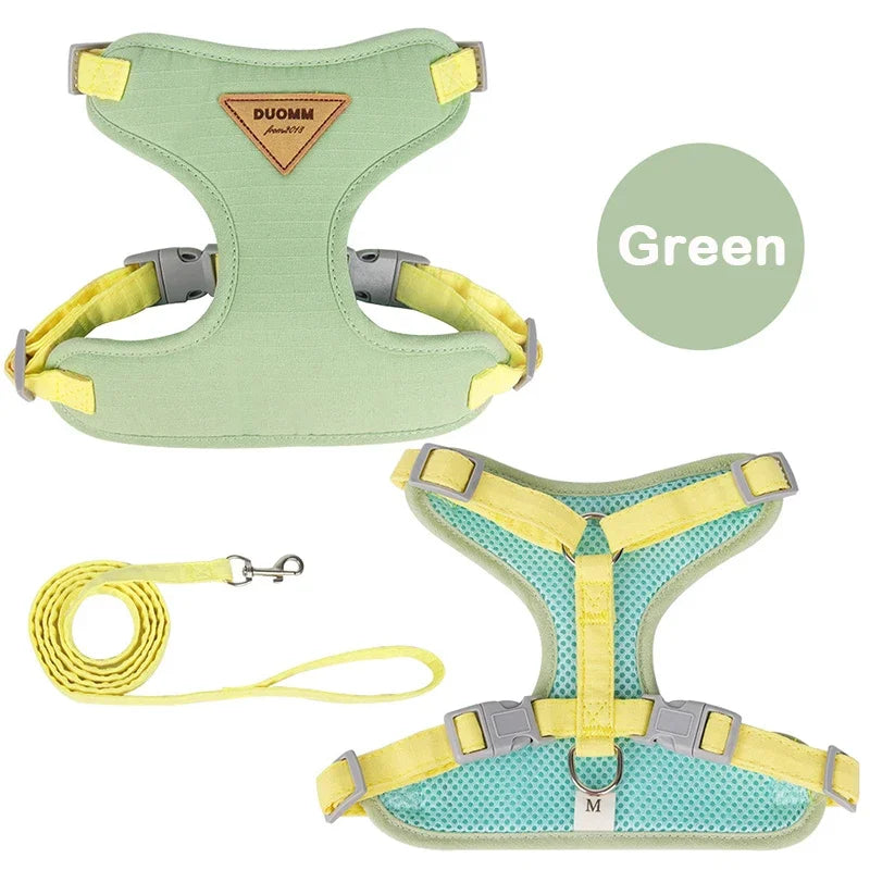 laisse et harnais pour petit chien nylon vert
