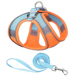 laisse et harnais pour petit chien - Vignette | laisse pour chien. fr