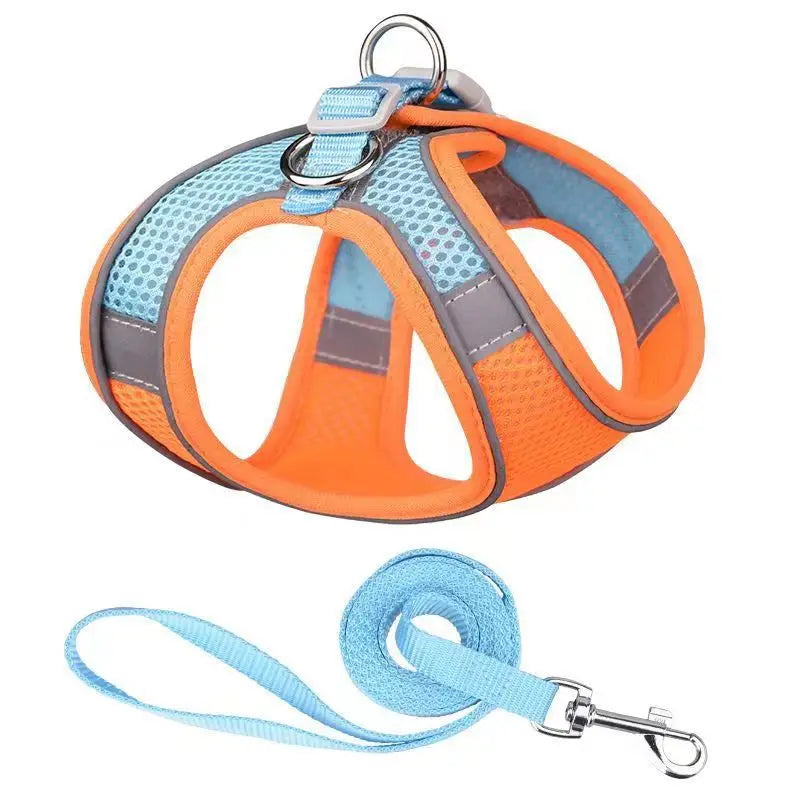 laisse et harnais pour petit chien orange bleu