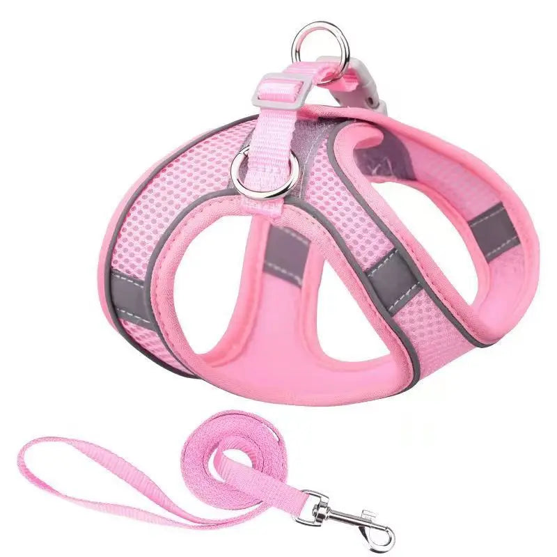 laisse et harnais pour petit chien rose