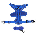 Laisse et Harnais réfléchissant - Vignette | laisse pour chien. fr