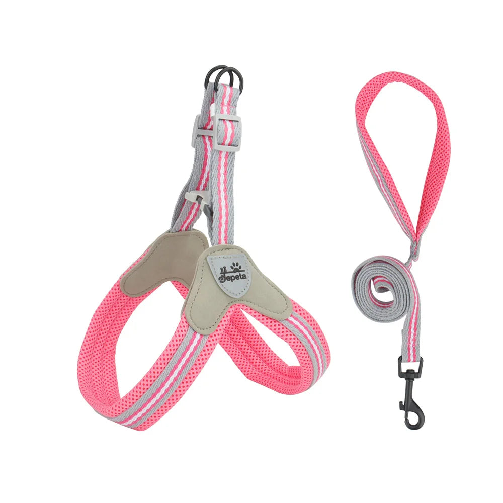 laisse et harnais respirant rose