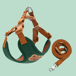 Laisse et Harnais ventral - Vignette | laisse pour chien. fr