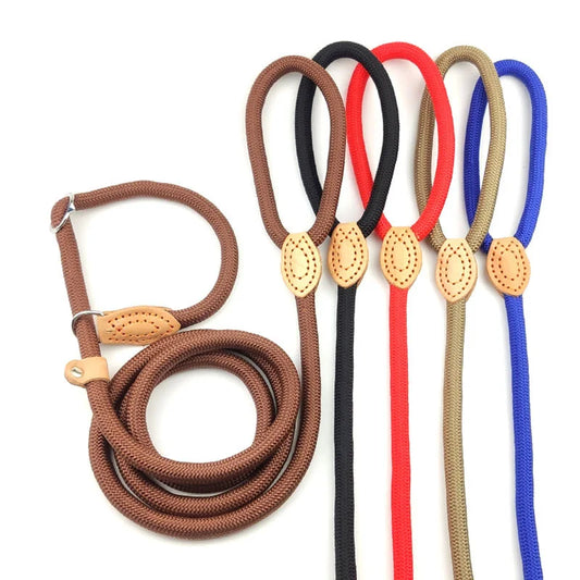 laisse lasso corde couleur