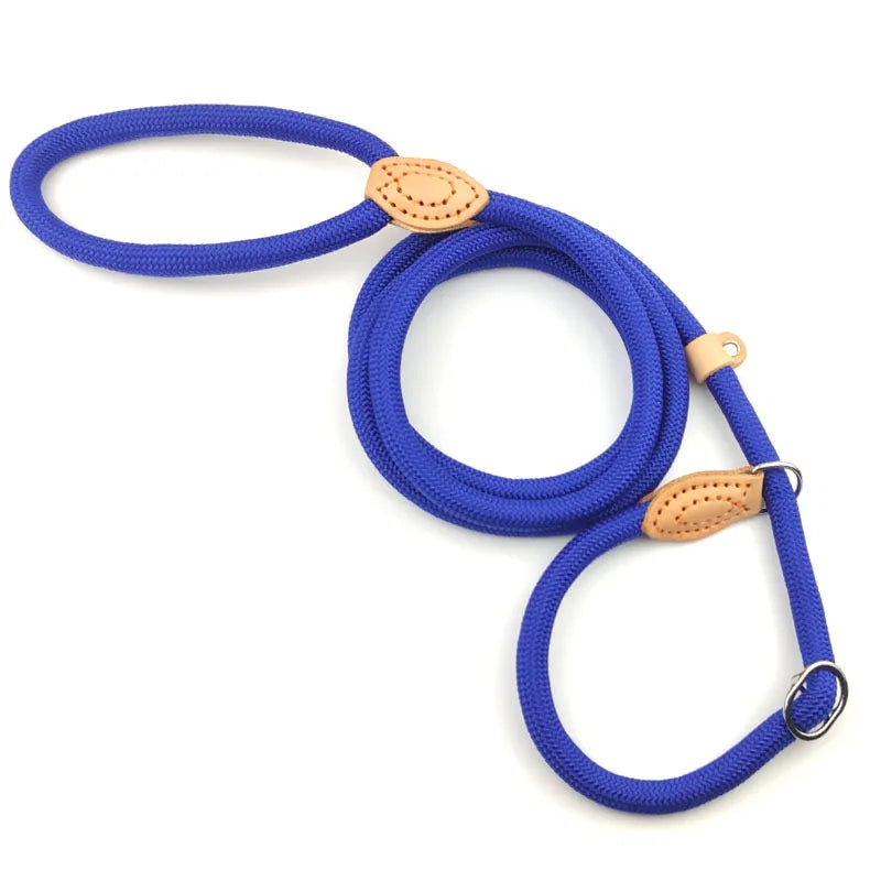 laisse lasso corde couleur bleu