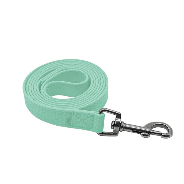 laisse longe PVC imperméable vert clair