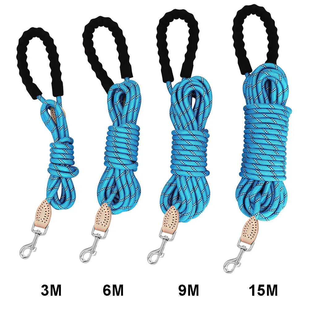 laisse longe corde