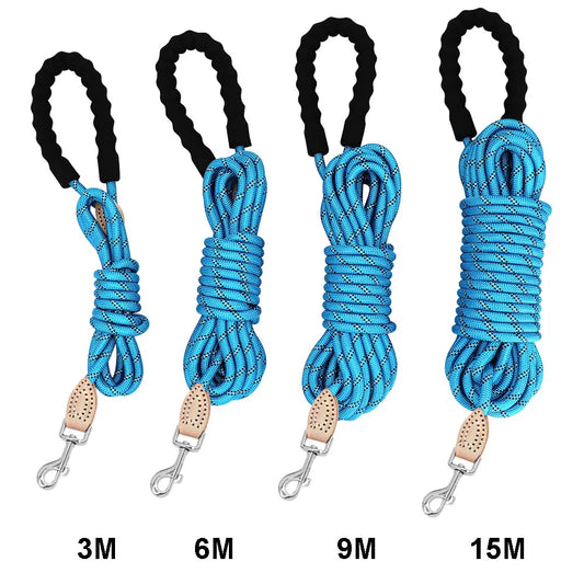 laisse longe corde