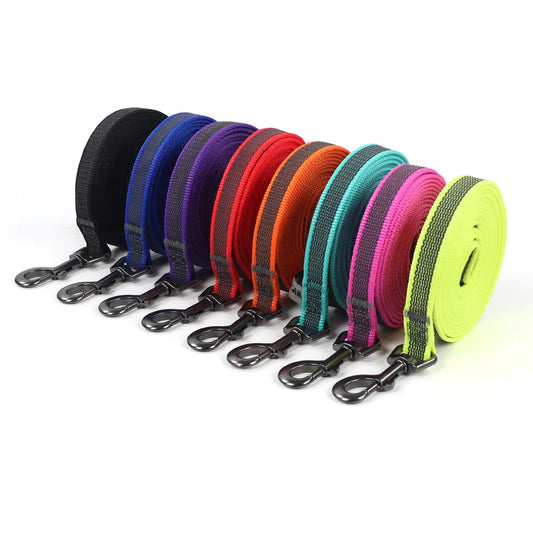laisse longe nylon