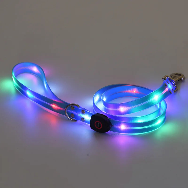 laisse lumineuse 1,20m bleu