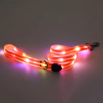 laisse lumineuse pour chien - Vignette | laisse pour chien. fr