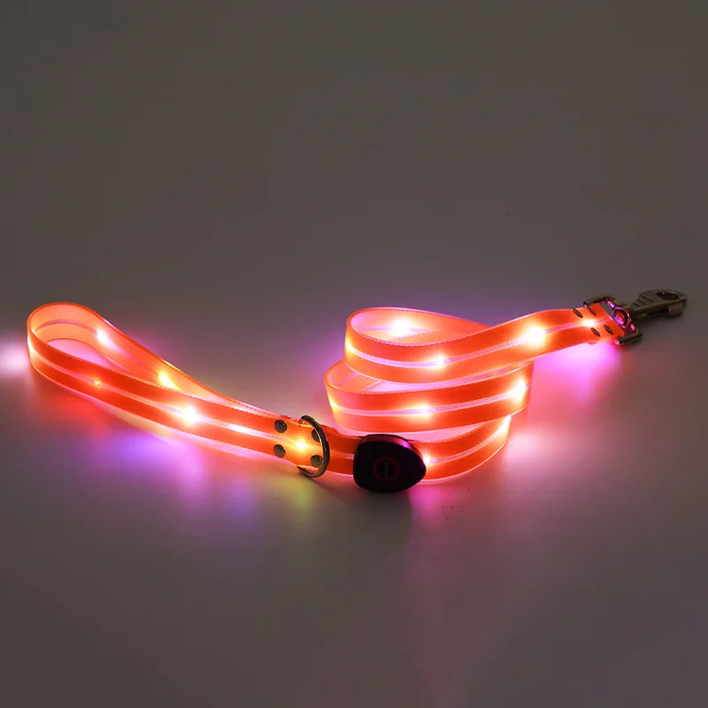 laisse lumineuse 1,20m orange