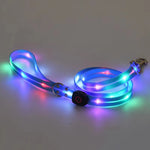 collier et laisse pour chien lumineux - Vignette | laisse pour chien. fr