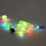 collier et laisse pour chien lumineux - Vignette | laisse pour chien. fr