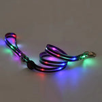 collier et laisse pour chien lumineux - Vignette | laisse pour chien. fr