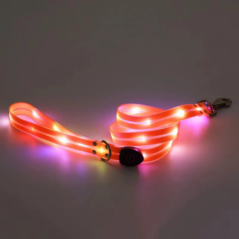laisse lumineuse orange