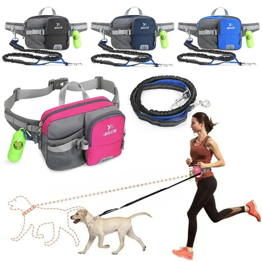 laisse mains libres avec sacoche pour courir