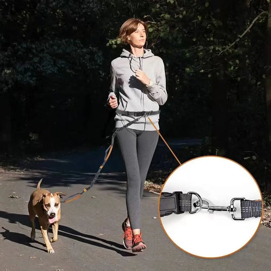 laisse mains libres ceinture de taille double poignee pour courrir