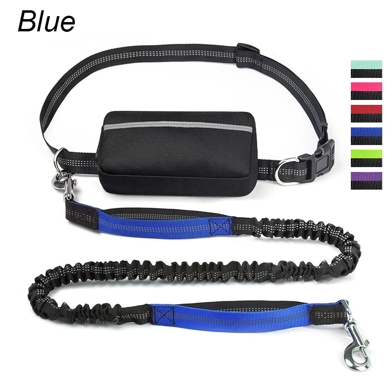 laisse mains libres elastique nylon double poignee avec sacoche bleu