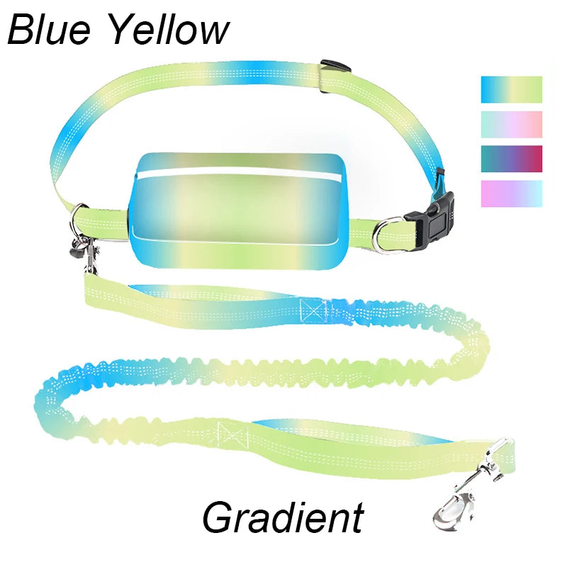 laisse mains libres elastique nylon double poignee avec sacoche bleu jaune acr en ciel