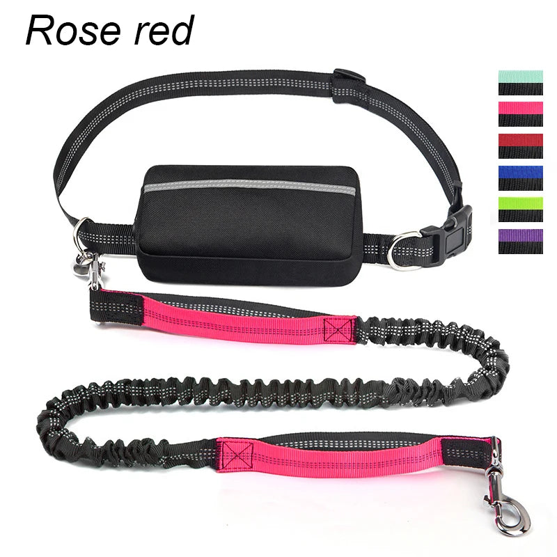 laisse mains libres elastique nylon double poignee avec sacoche rose