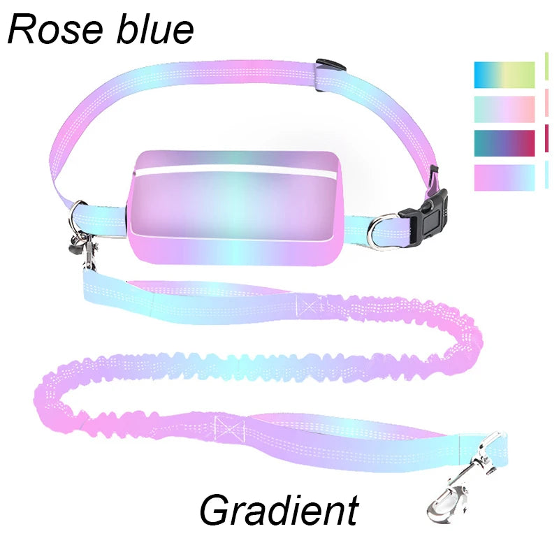 laisse mains libres elastique nylon double poignee avec sacoche rose bleu arc en ciel