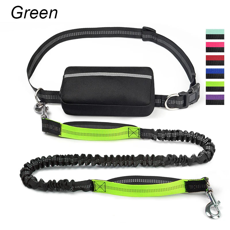 laisse mains libres elastique nylon double poignee avec sacoche vert