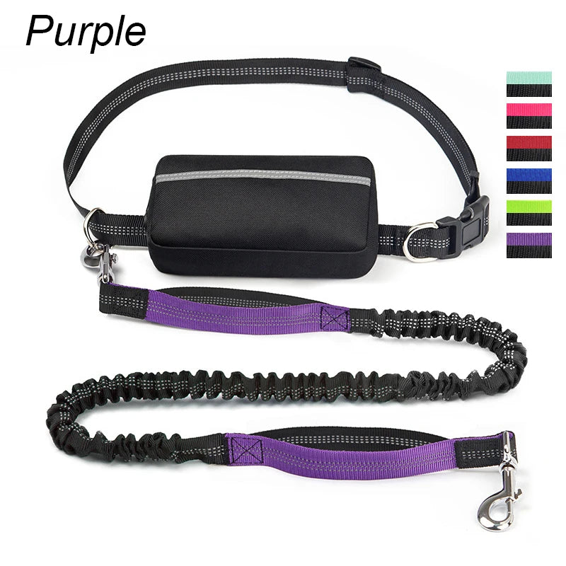 laisse mains libres elastique nylon double poignee avec sacoche violet
