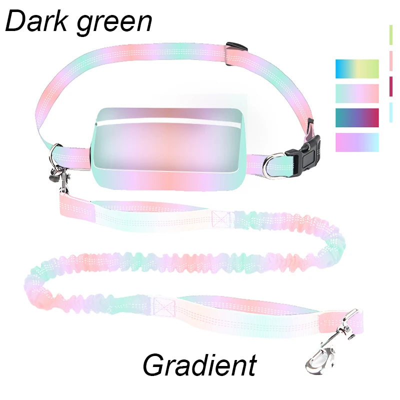 laisse mains libres elastique nylon double poignee avec sacoche rose vert arc en ciel