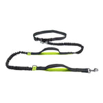 laisse mains libres pour chien - Vignette | laisse pour chien. fr