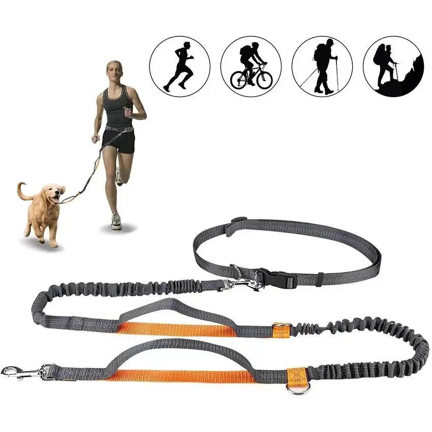 laisse mains libres pour courir ceinture de taille double poignee orange