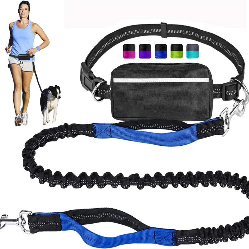 laisse mains libres pour courir double poignee avec pochette bleu