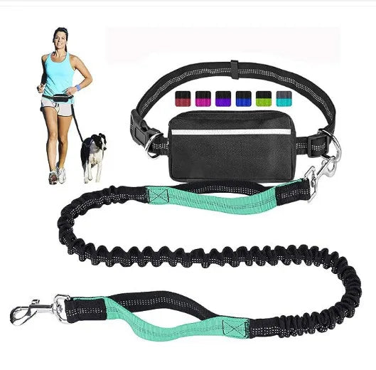 laisse mains libres pour courir double poignee avec pochette turquoise