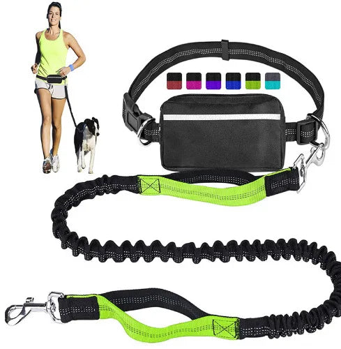 laisse mains libres pour courir double poignee avec pochette vert