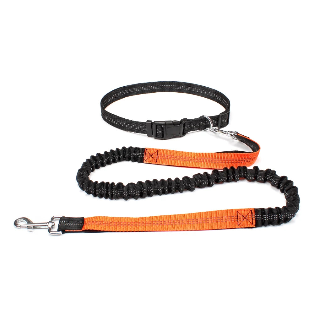 laisse mains libres pour courir orange