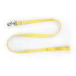 collier et laisse pour chien - Vignette | laisse pour chien. fr