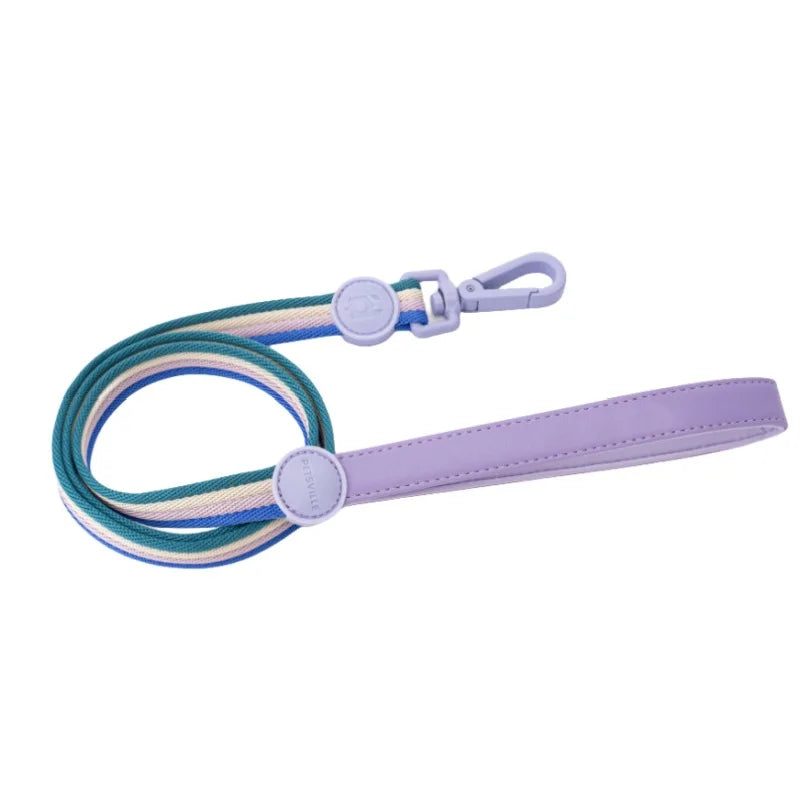 laisse nylon bleu
