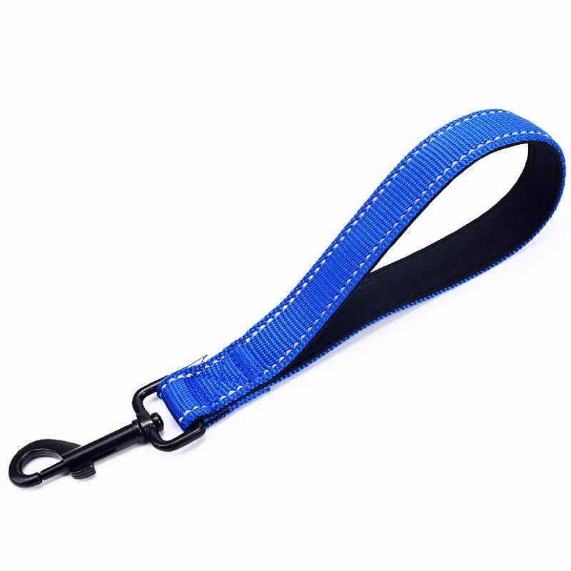 laisse nylon courte bleu