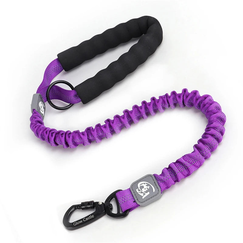 laisse nylon courte elastique poignee mousseviolet foncé