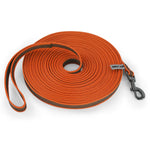 laisse pour chien nylon - Vignette | laisse pour chien. fr