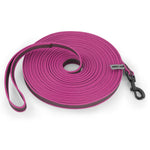 laisse pour chien nylon - Vignette | laisse pour chien. fr