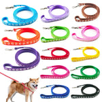laisse pour petit chien - Vignette | laisse pour chien. fr