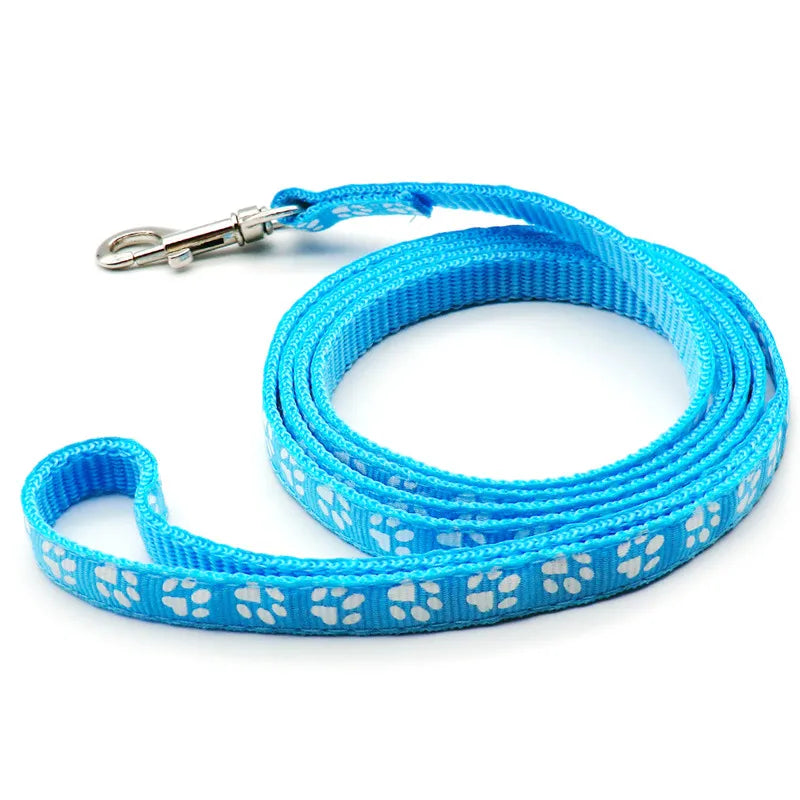 laisse nylon dessin pattes bleu ciel