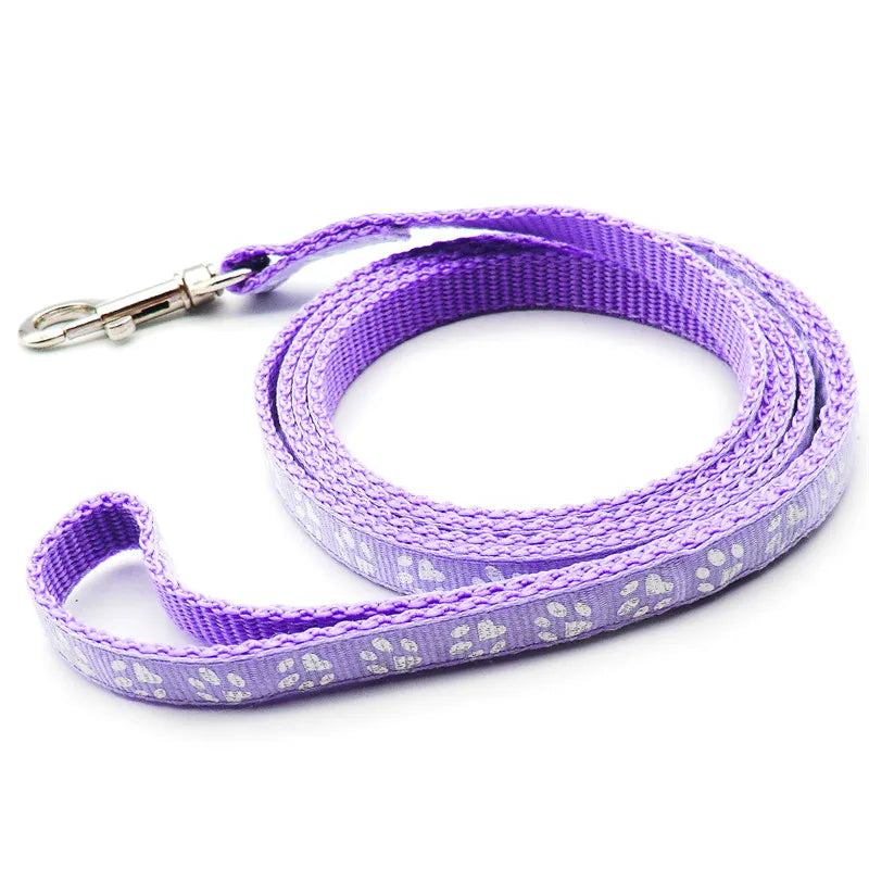 laisse nylon dessin pattes lila