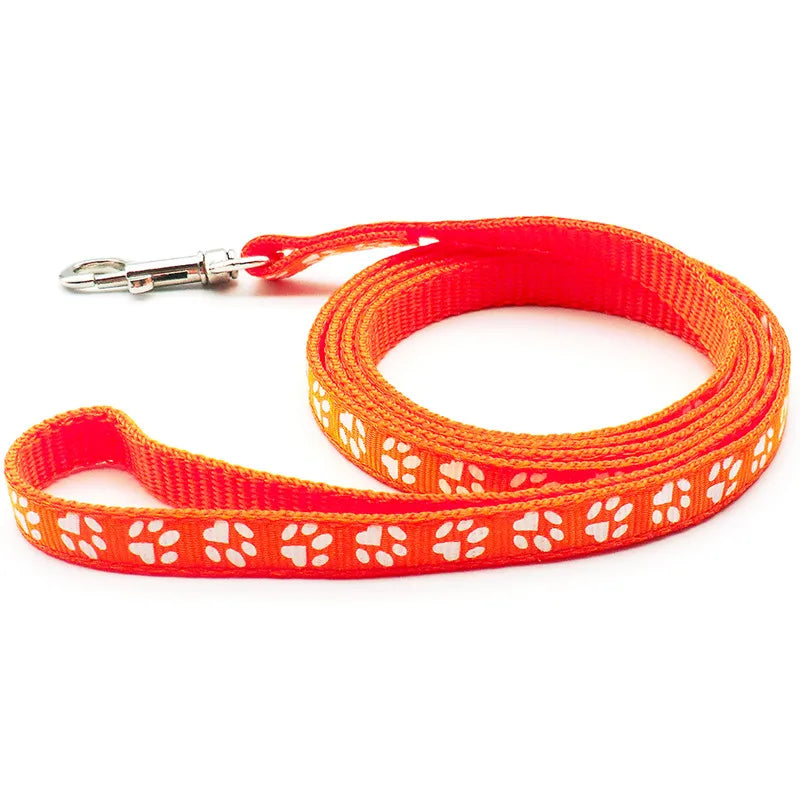 laisse nylon dessin pattes orange