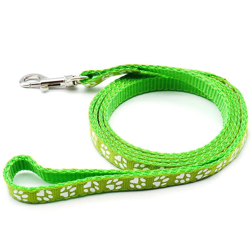 laisse nylon dessin pattes vert clair