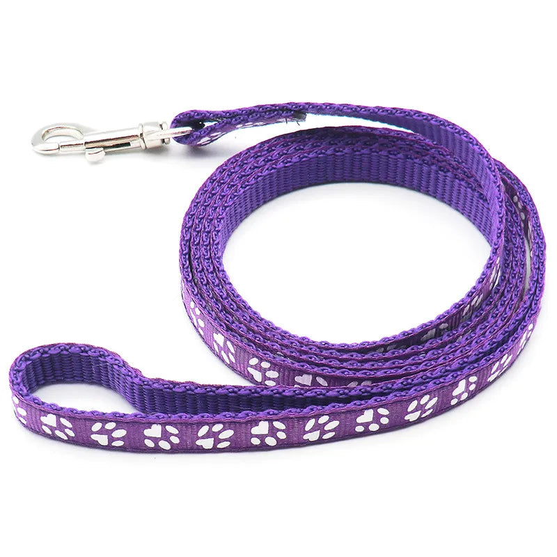 laisse nylon dessin pattes violet